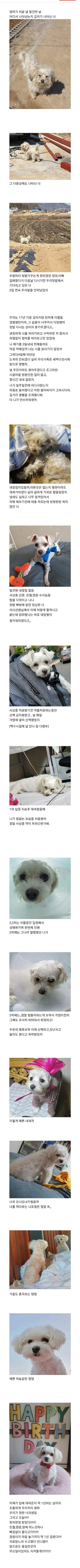 부모님 텃밭에서 시작된 인연.jpg