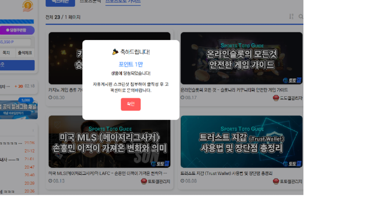 포인트복주머니.png