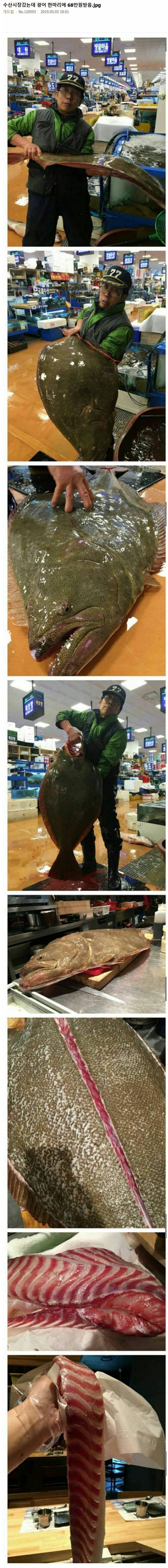 68만원짜리 광어