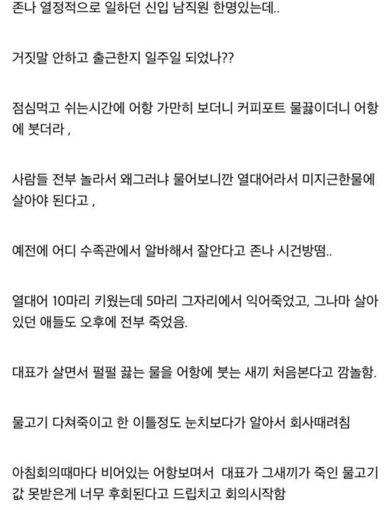 열정적으로 일하던 신입사원 대참사