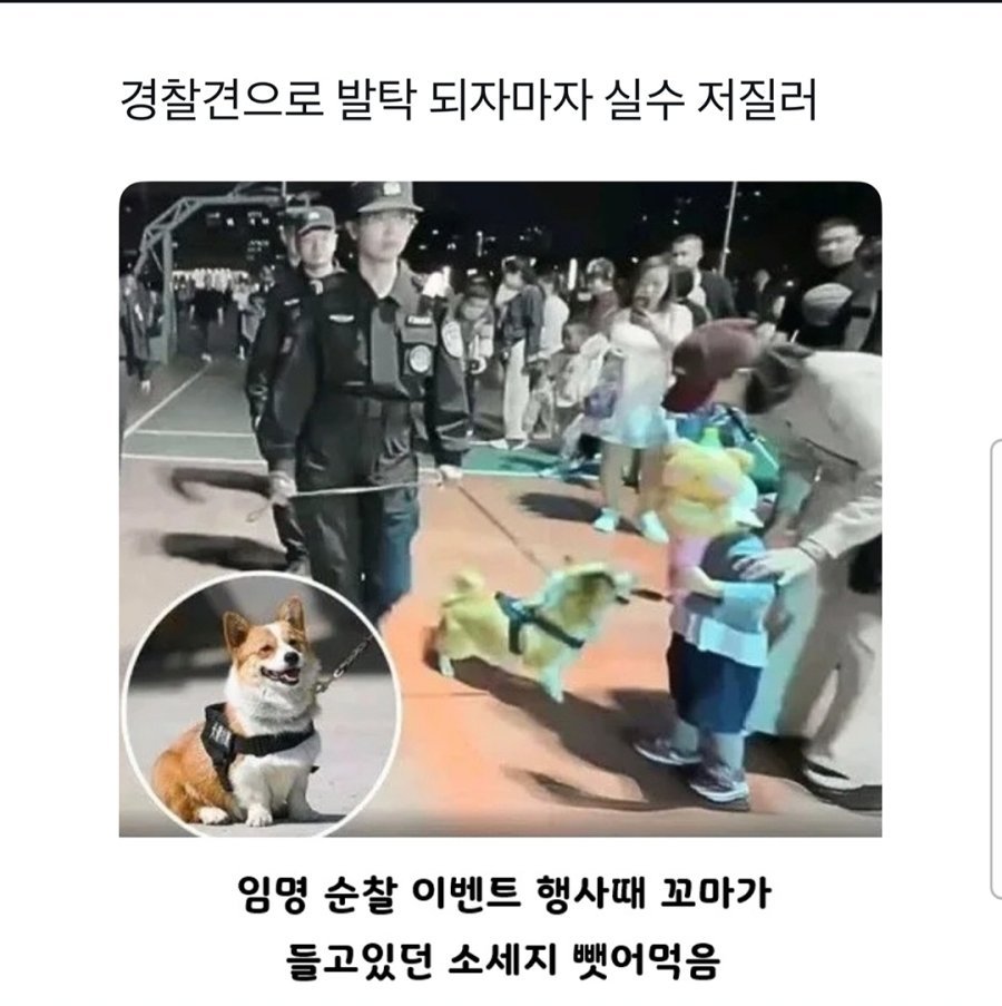 첫 출근날 사고친 견찰