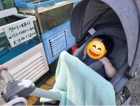 아들데리고 동네 아쿠아리움다녀옴