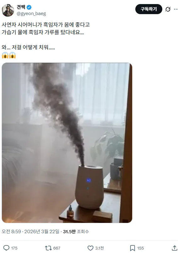 시어머니 때문에 대참사난 가습기