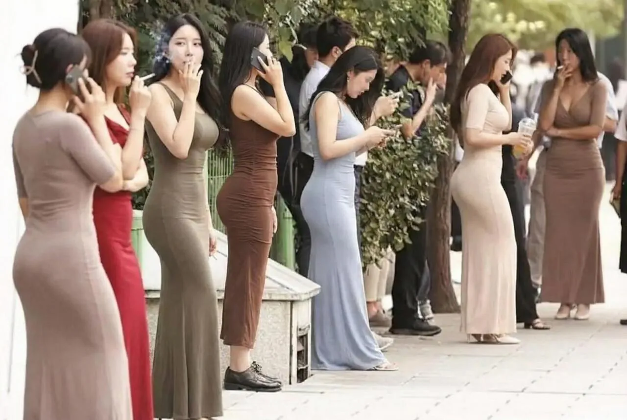 동탄 평균 몸매