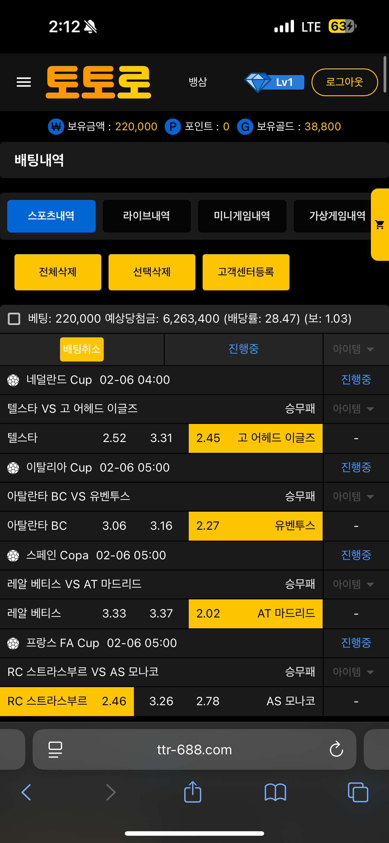 3얀속 정배