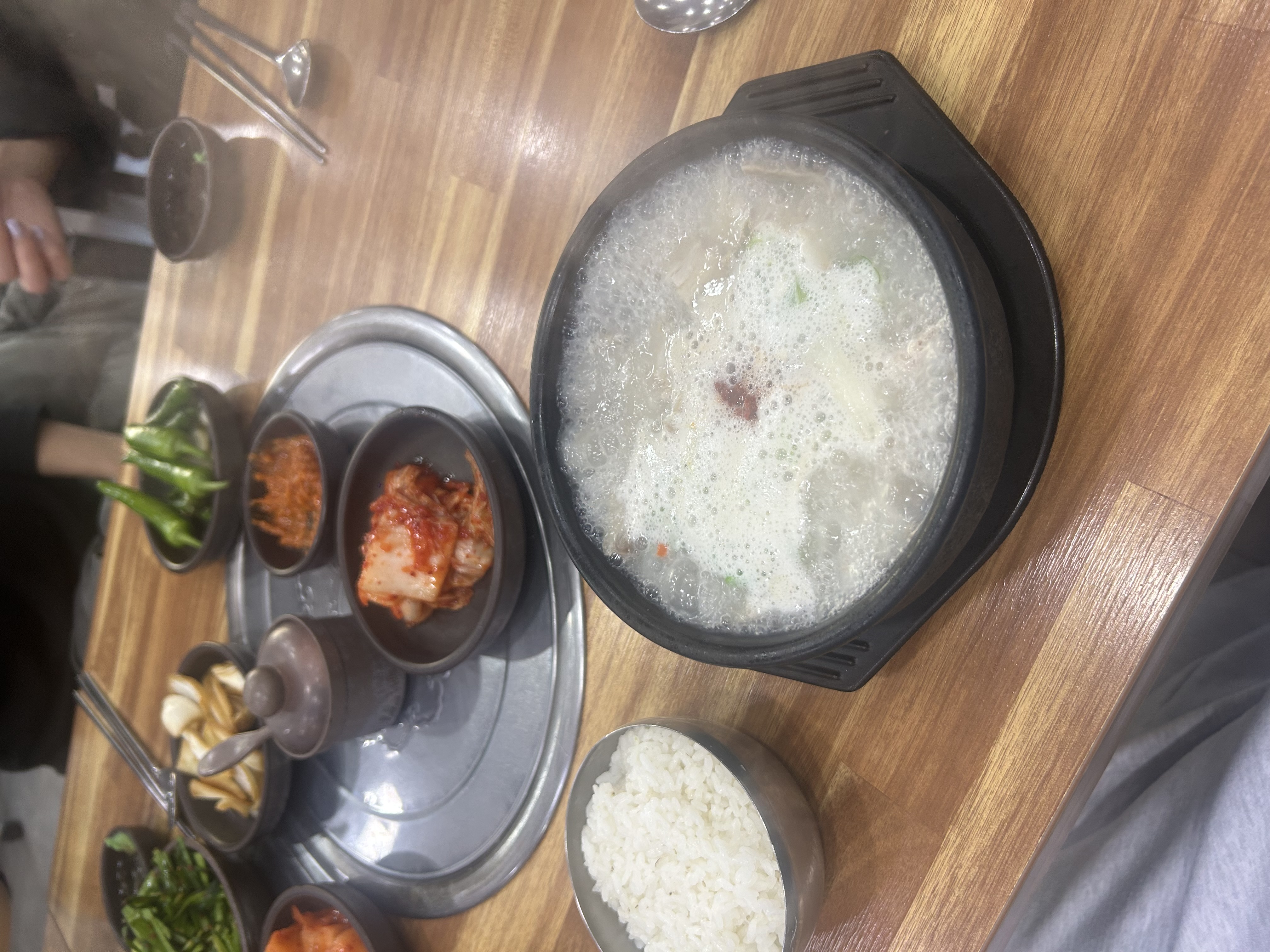 촉촉한 하루입니다 맛점하숑