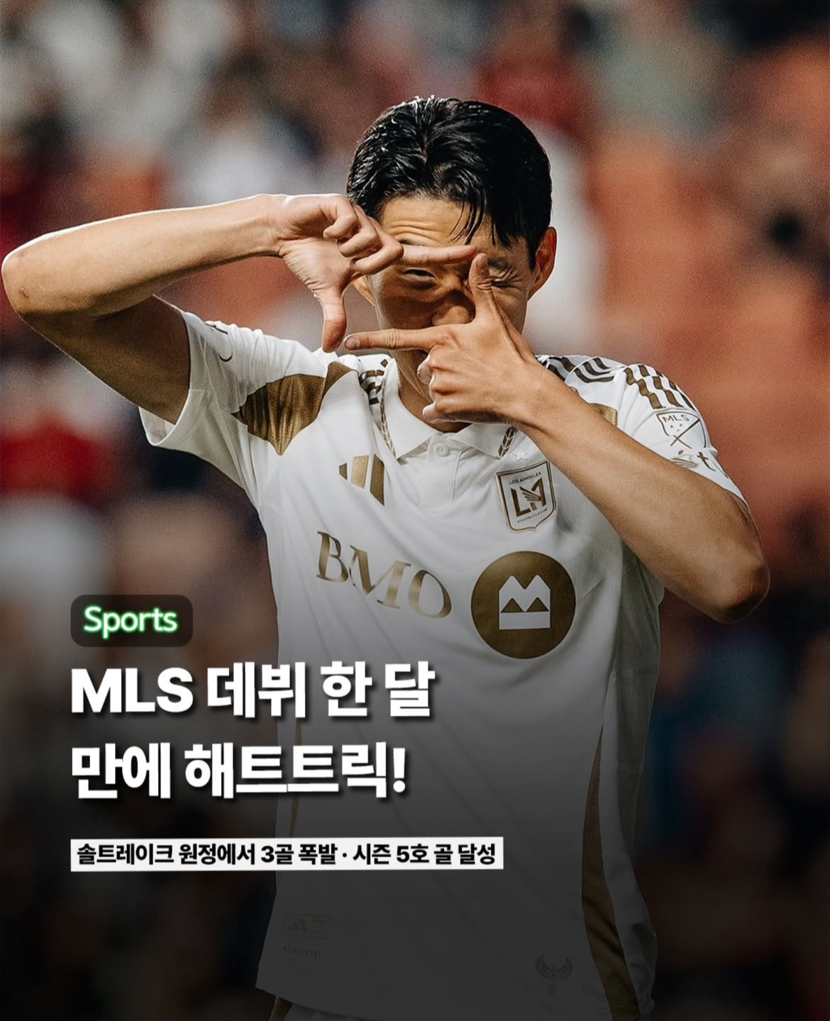 손트트릭 이야