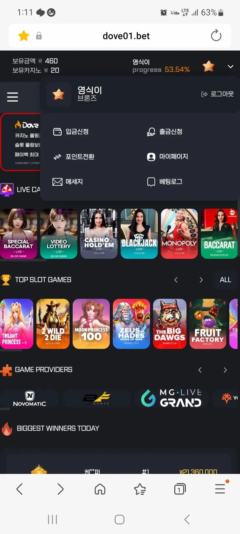 도브 후기