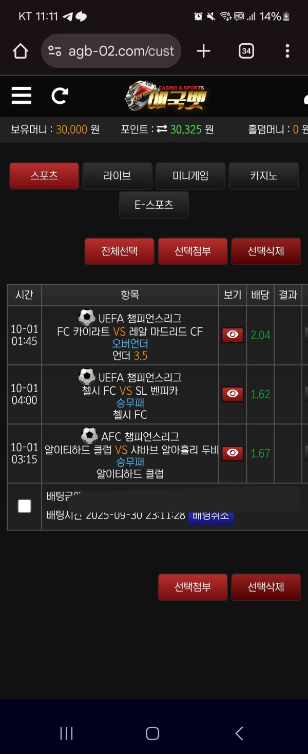 애국벳후기