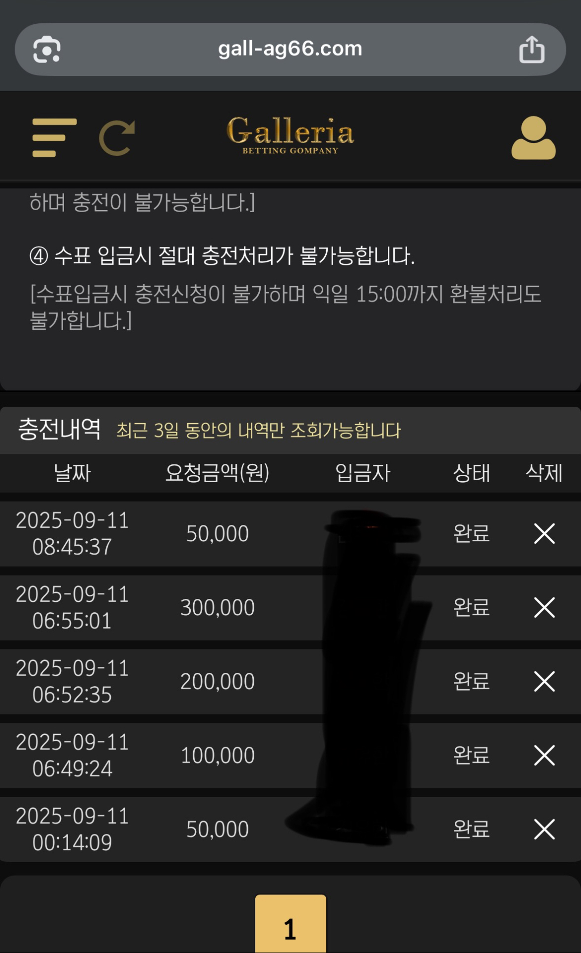 갤러리아 후기