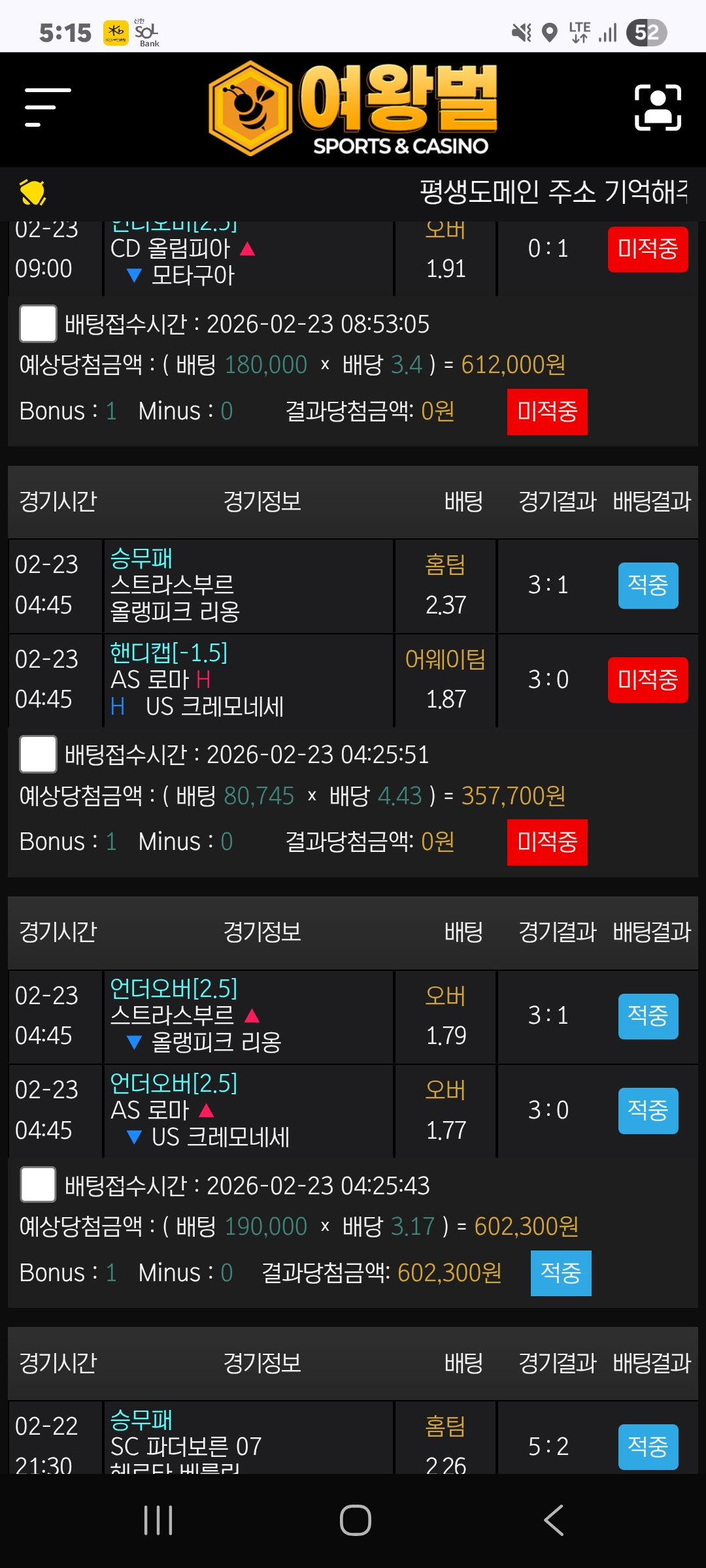 여왕벌후기