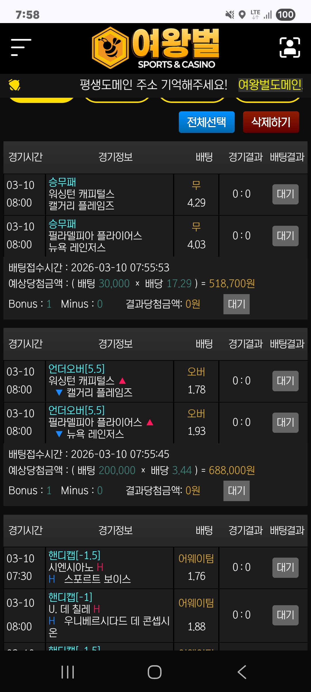 여왕벌후기