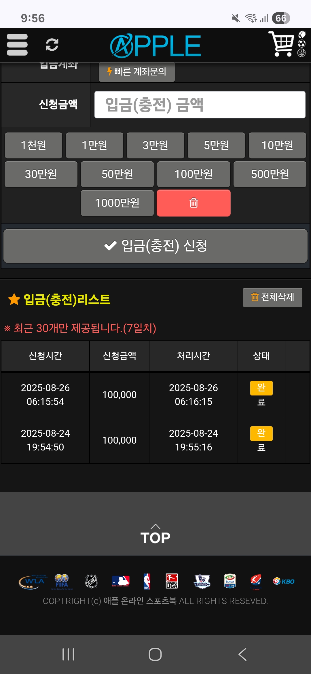 애플 후기