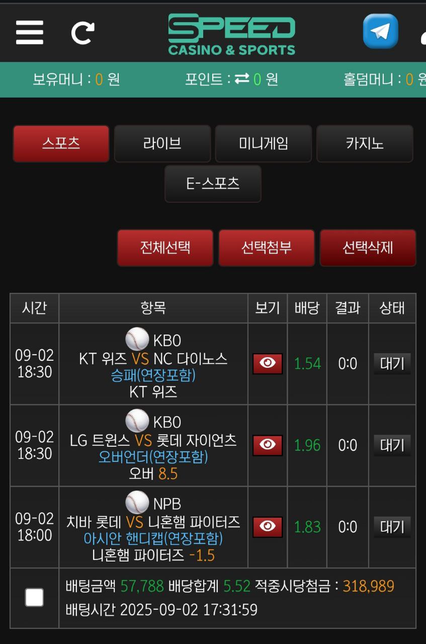 스피드 후기