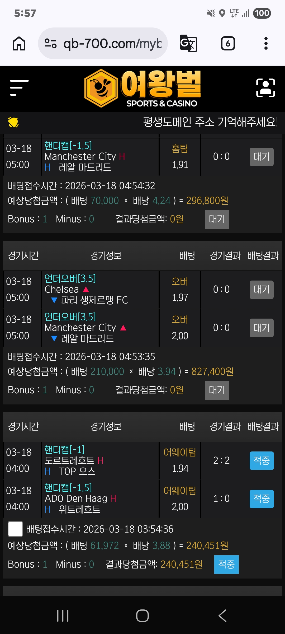 여왕벌후기
