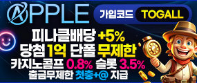 베팅 제재없는 고액전용 메이저놀이터 '애플'